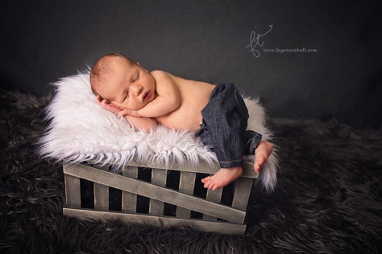 Cape Town baby photography_0052
